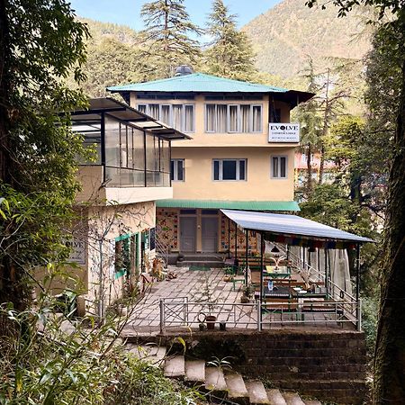 Eevolve Dharamkot - An Eco Hostel McLeod Ganj Ngoại thất bức ảnh