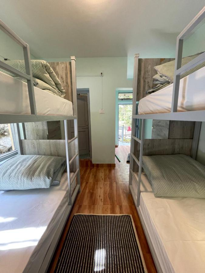 Eevolve Dharamkot - An Eco Hostel McLeod Ganj Ngoại thất bức ảnh