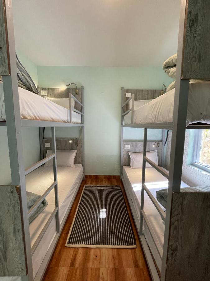 Eevolve Dharamkot - An Eco Hostel McLeod Ganj Ngoại thất bức ảnh