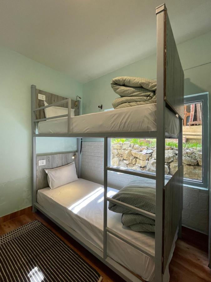 Eevolve Dharamkot - An Eco Hostel McLeod Ganj Ngoại thất bức ảnh
