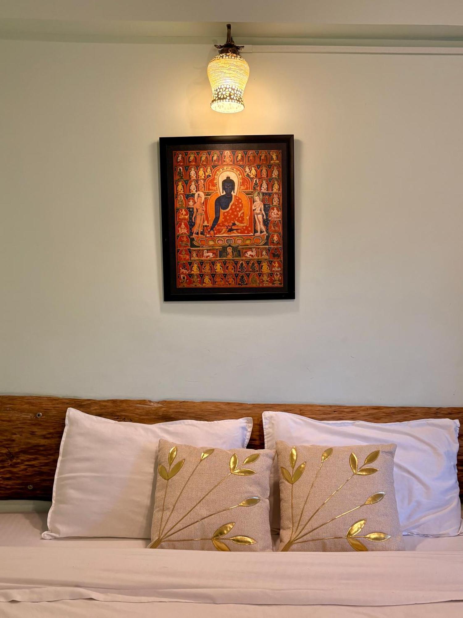 Eevolve Dharamkot - An Eco Hostel McLeod Ganj Ngoại thất bức ảnh