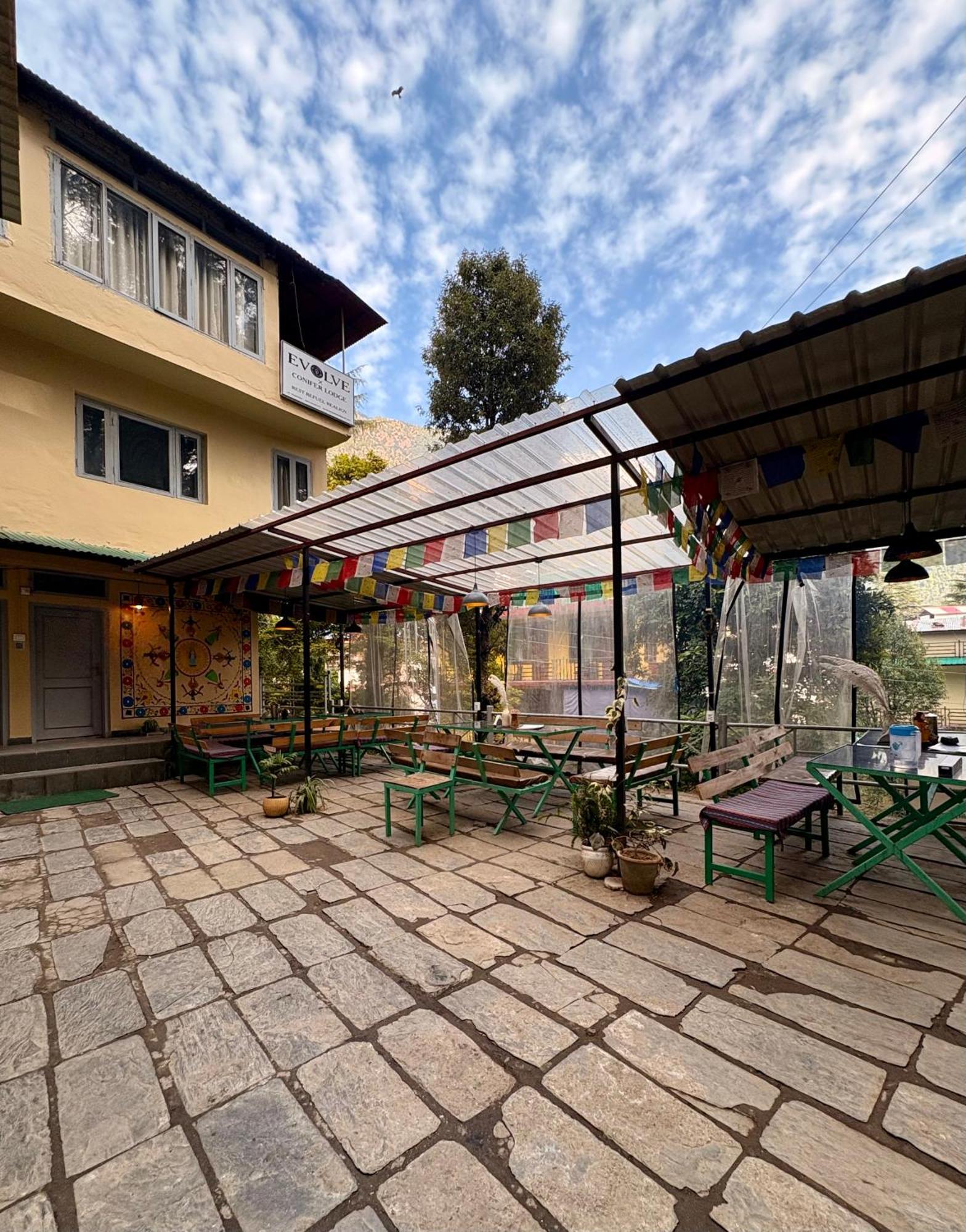 Eevolve Dharamkot - An Eco Hostel McLeod Ganj Ngoại thất bức ảnh