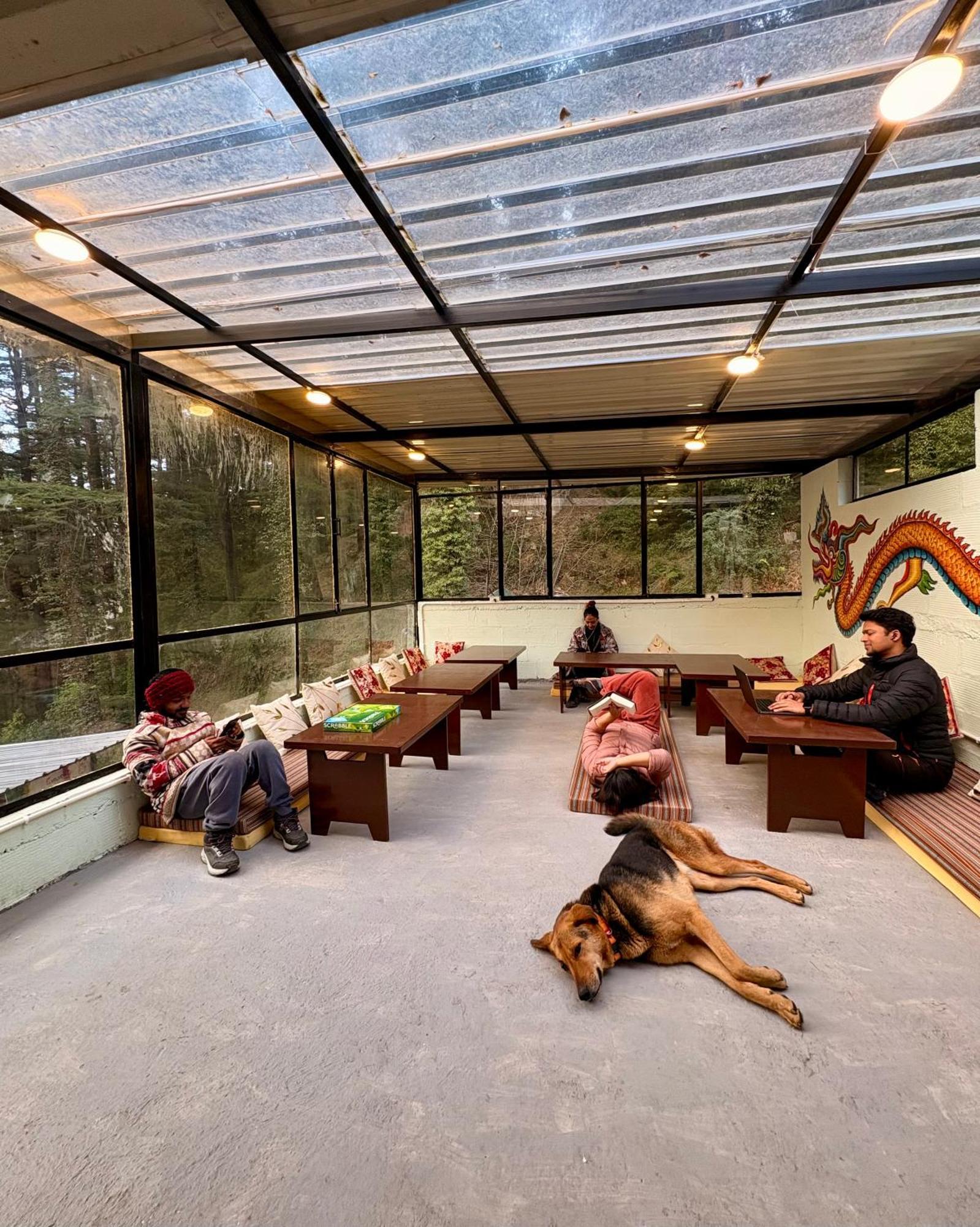 Eevolve Dharamkot - An Eco Hostel McLeod Ganj Ngoại thất bức ảnh